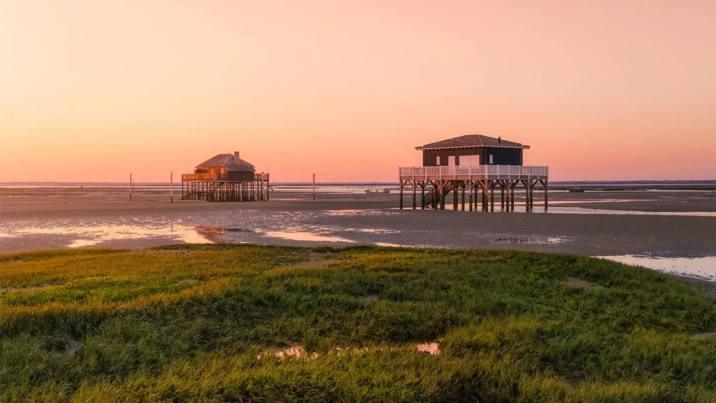 Les cabanes tchanquées et l'île aux oiseaux